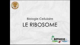 Le Ribosome Cours°3 [upl. by Chema]