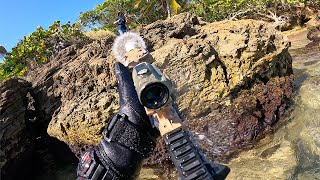 Tropical Island Airsoft [upl. by Trisa636]