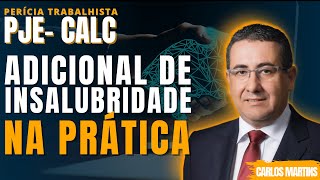 COMO FAZER ADICIONAL DE INSALUBRIDADE NO PJECALC  PERÃCIA TRABALHISTA  CARLOS MARTINS [upl. by Omsoc]