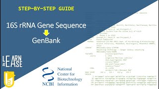 A StepbyStep Guide to Upload Bacterial 16S rRNA Gene Sequence to GenBank [upl. by Llerrut]