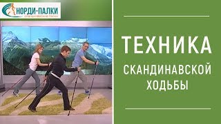 ТЕХНИКА СКАНДИНАВСКОЙ ХОДЬБЫ Видео Как правильно ходить с палками [upl. by Coulson92]