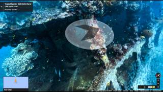 Underwater Street View imagery of Sydney Harbour and the Great Barrier Reef launches on Google Maps [upl. by Suivatal]