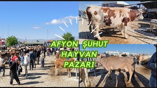 AFYON ŞUHUT HAYVAN PAZARI 25052024 bölüm 1 [upl. by Mahseh]