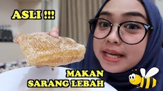 MAKAN SARANG LEBAH ASLI PART 1 [upl. by Llejk]