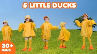 5 Little Ducks  Nursery Rhymes  Kids Songs [upl. by Noed209]