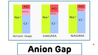 Anion Gap  Anion Gap For The Assessment of Metabolic Acidosis [upl. by Radec]