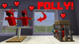 Minecraft  How To Make a Parrot Cage and a Parrot Perch [upl. by Llorrad]