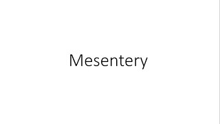 Mesentery  Anatomy [upl. by Akenahc798]