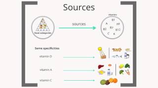 Micronutrients  basic knowledge [upl. by Heddy]