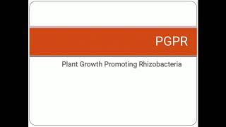 PGPR  Plant Growth Promoting Rhizobacteria  Soil Microflora [upl. by Atlee155]