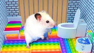 Mr Hamster escape from Prison 2  Best Pet Maze Challenge  Hamster Life [upl. by Supple]