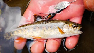 How To FISH Rooster Tails For TROUT In Creeks Rivers amp Streams [upl. by Oakleil]