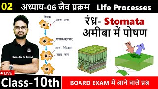 L02 अमीबा में पोषण व रंध्र  Nutrition in Amoeba and Stomata Chapter 06 जैव प्रक्रम Class10 [upl. by Mccready]