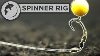 How To Tie The Spinner or Ronnie Rig For Carp Fishing [upl. by Latrina]