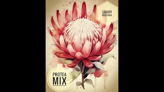 PROTEA MIX Garry Montana Another Day Traveling [upl. by Adiaros587]