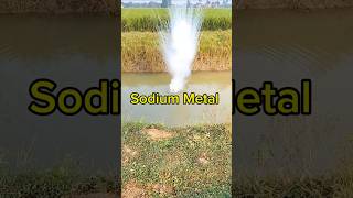 Sodium Metal With Water Reaction Video  सोडियम मेटल धमाका वीडियो shorts [upl. by Lewin271]