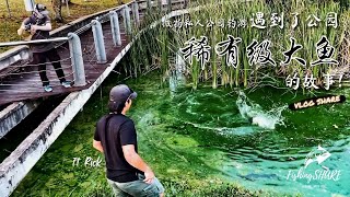 【FishingShare】微物私人公园钓游，遇到了公园稀有级大鱼的故事！ULTRALIGHT FISHING IN Private Park Encounter a RARE TROPHY FISH [upl. by Kalasky650]