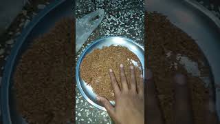 How to make cocopeat at home  How to get cocopeat at home natureplants [upl. by Zolner3]