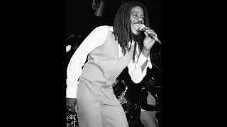 Dennis Brown  Inseparable Live Performance [upl. by Eelidnarb]