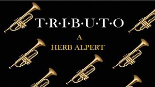 Trompeta Tributo a Herb Alpert [upl. by Ahsinad163]