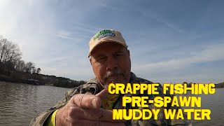 Crappie Fishing PreSpawn Muddy Water [upl. by Sidnal]