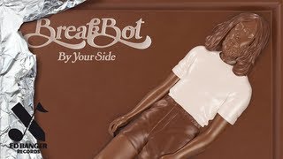 Breakbot  Why feat Ruckazoid Official Audio [upl. by Nalra]