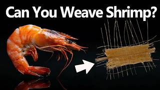 Turning SHRIMP into Fabric [upl. by Markiv310]