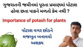 ગુજરાતની જમીનમાં પૂરતા પ્રમાણમાં પોટાશ હોવા છતા પાકને મળતો કેમ નથી   Haresh bera [upl. by Lednahc]