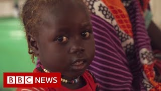 The ongoing struggle for peace in Darfur  BBC News [upl. by Macguiness]