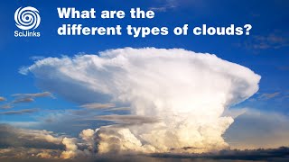 What Are the Different Types of Clouds [upl. by Novi]