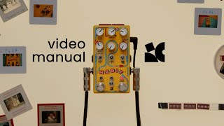 Habit  Video manual [upl. by Delsman350]