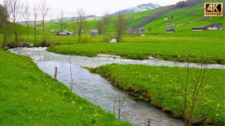 Appenzell Switzerland 🇨🇭 the Valley of Rivers  swiss swissview [upl. by Oiramej]