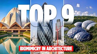 9 Stunning Examples of Biomimicry Transforming Architecture [upl. by Inatsed]