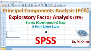 How to do Principal Components Analysis PCA and Exploratory Factor Analysis EFA in SPSS [upl. by Stewardson306]