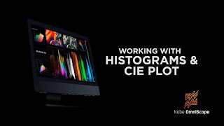 Nobe OmniScope Tutorial 04  Histograms CIE  timeinpixelscom [upl. by Dottie]