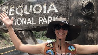 Sequioa National Park  Kings Canyon  With Kids  Virtual Field Trip  Science [upl. by Leerzej]