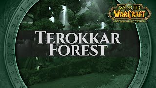 Terokkar Forest  Music amp Ambience  World of Warcraft The Burning Crusade  TBC [upl. by Llerahs176]