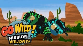 Go Wild Mission Wildnis  Mission Gilatier  Folge 21 [upl. by Akirre]