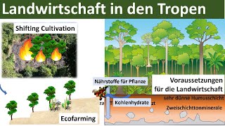 Landwirtschaft in den Tropen Zusammenfassung  Erdkunde Oberstufe Abitur [upl. by Bartlet]