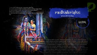 Radhakrishn Soundtracks 121 Adharam Madhuram Duet Combo Version [upl. by Cirtap]