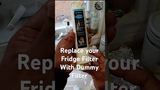 Hacking Fridge Filter [upl. by Cordi]