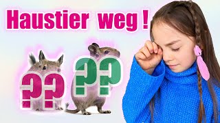 Mein Haustier ist weggelaufen  Gehege für Degu Mäuse  Clarielle und kleine Schwester Elisa [upl. by Ingvar]