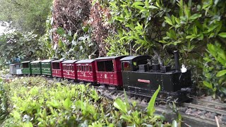 Peckforton Light Railway  GVT Glyn loco remotored [upl. by Ylla239]