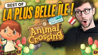 QUI AURA LA PLUS BELLE ÎLE   BEST OF  ANIMAL CROSSING avec Hexakil AREtoilesMC et Ultia [upl. by Pendergast]