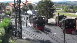 Narrow Gauge Railway Harz in Wernigerode with trains and depot [upl. by Goldarina962]