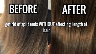 How To Get Rid Of Split Ends WITHOUT affecting length [upl. by Nuriel]