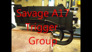 SAVAGE A17 TRIGGER GROUP REVIEW [upl. by Lindsey]