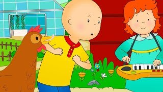 Caillou auf Deutsch neue Folgen ★ Der Hühnertanz von Caillou COMPILATION ★ HD 2018 ✔ [upl. by Juieta282]