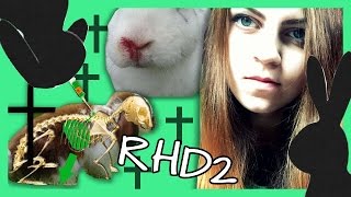 RHD  RHD2 Virus  Wie Kaninchen schützen [upl. by Laryssa]