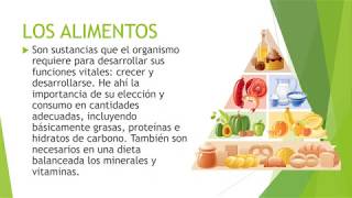 LOS ALIMENTOS  4to Grado de primaria [upl. by Acissehc]